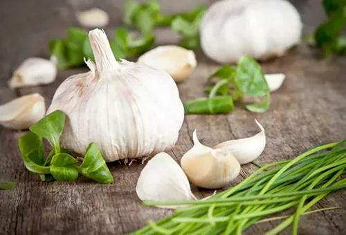 تصویر 4 از خرید و قیمت سیر تازه کیلویی + فروش عمده